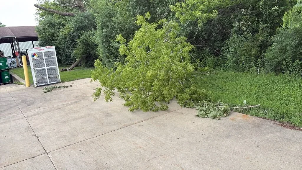 Cleared Driveway After Trimming, Panther Landscape and Concrete in Harvard, IL